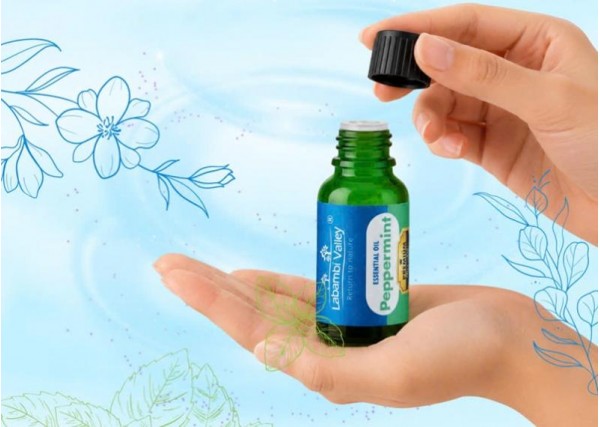Nhỏ vài giọt tinh dầu bạc hà để hè này ủ tóc mát lạnh