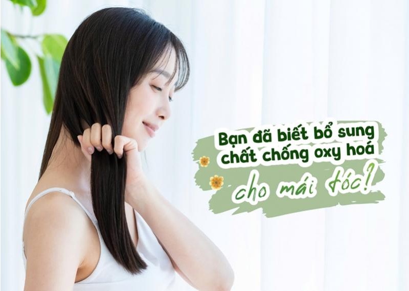 Bạn đã biết bổ sung chất chống oxy hoá cho mái tóc?