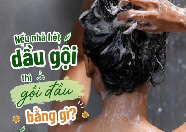 Nếu nhà hết dầu gội thì gội đầu bằng gì?