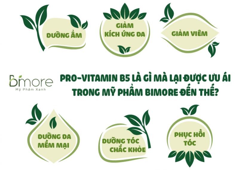 Pro-vitamin B5 là gì mà lại được ưu ái trong mỹ phẩm BiMore đến thế?