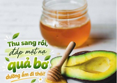 Thu sang rồi, đắp mặt nạ quả bơ dưỡng ẩm đi thôi!