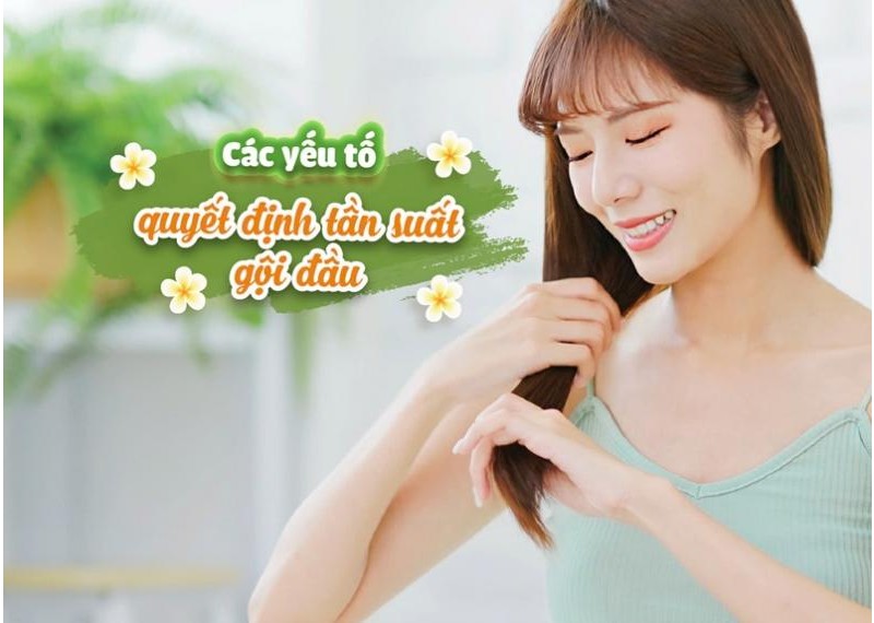 Các yếu tố quyết định tần suất gội đầu