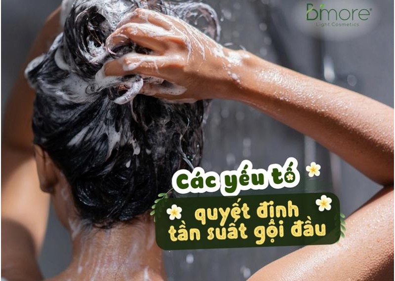 Các yếu tố quyết định tần suất gội đầu
