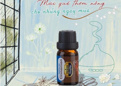 Mùi quế thơm nồng cho những ngày mưa