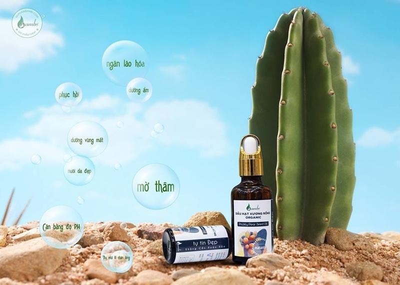 9 Lợi ích diệu kỳ của Dầu hạt Xương Rồng - Prickly Pear Oil