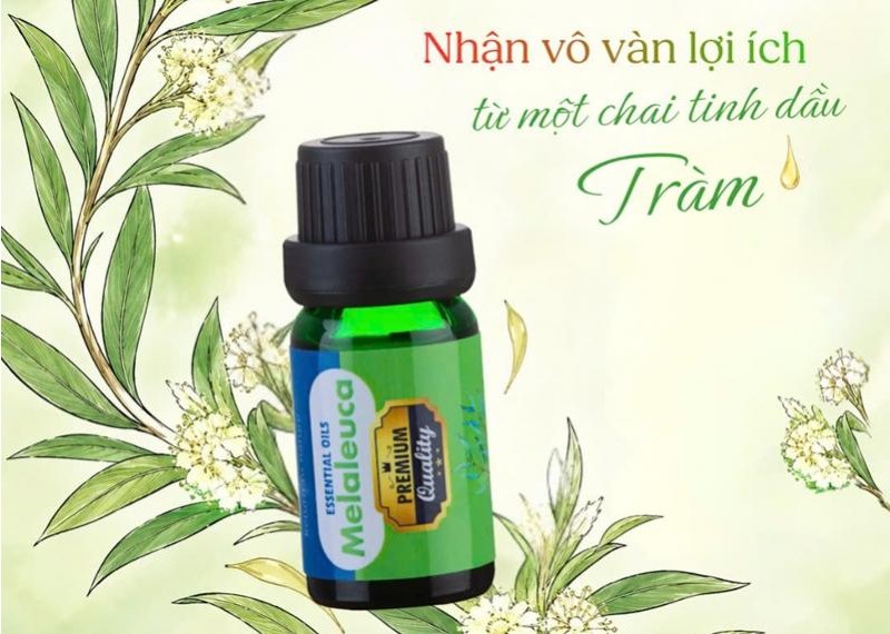 Nhận vô vàn lợi ích từ một chai tinh dầu Tràm